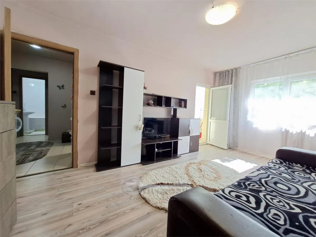 Apartament 2 camere, mobilat si utilat, interesctia Podu de Fier - foto 8