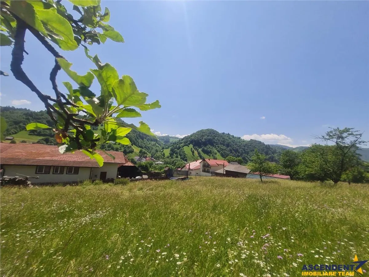 View superb:intravilan,constructie rezidenta/hotel,2.327 mp,Moieciu de Jos, Bran - foto 16
