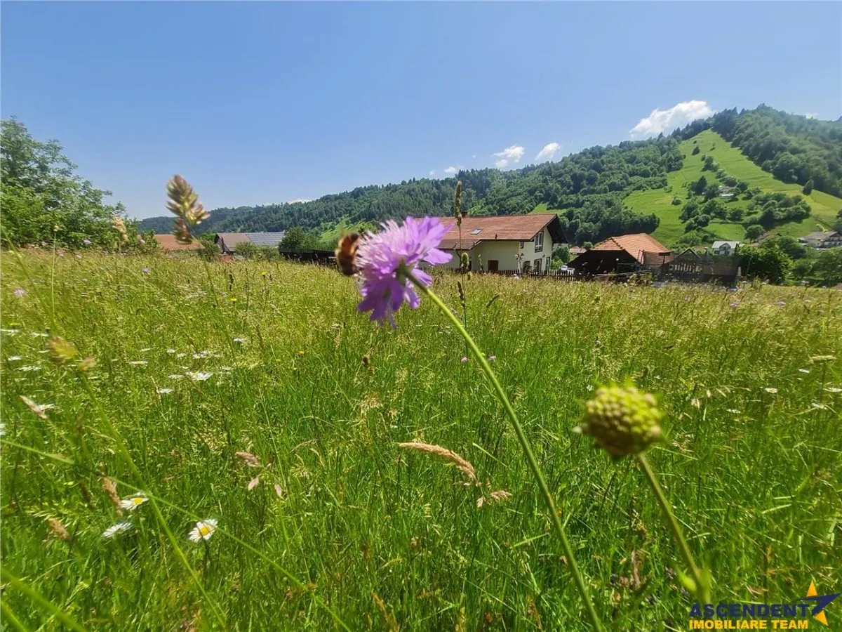 View superb:intravilan,constructie rezidenta/hotel,2.327 mp,Moieciu de Jos, Bran - foto 19