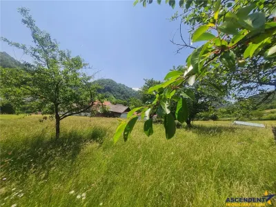 View superb:intravilan,constructie rezidenta/hotel,2.327 mp,Moieciu de Jos, Bran - foto 22