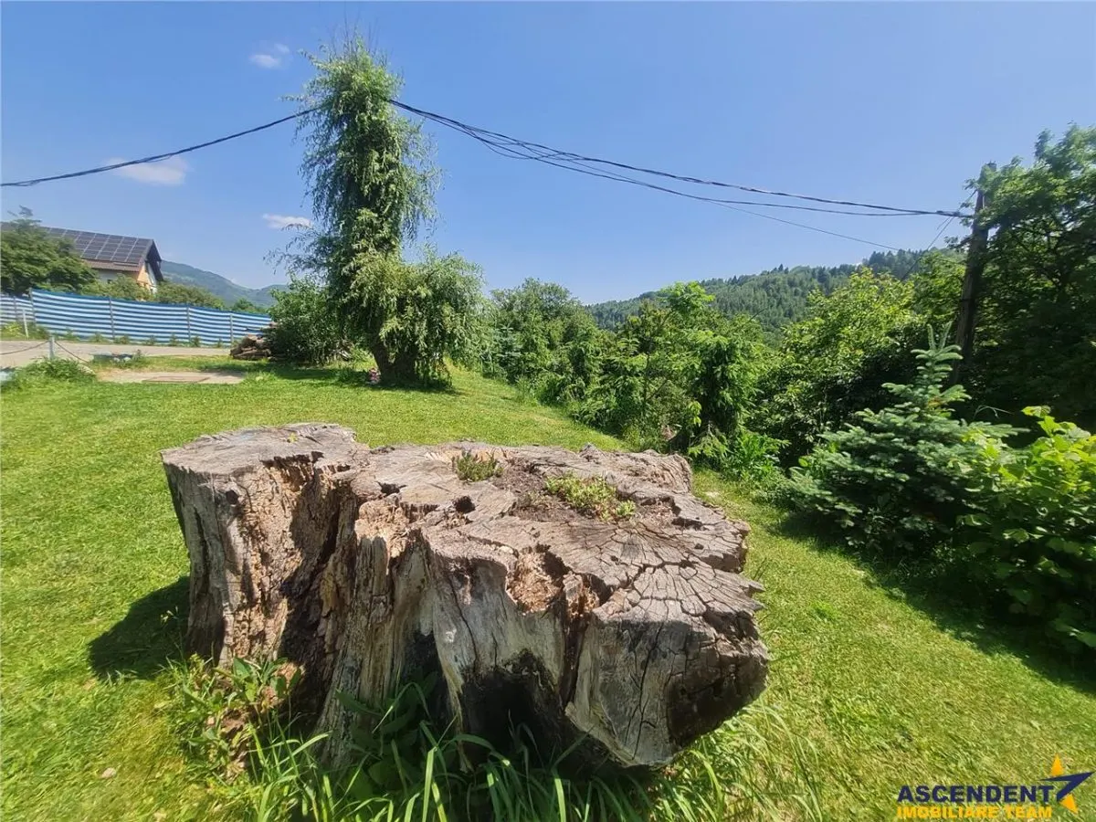 View superb:intravilan,constructie rezidenta/hotel,2.327 mp,Moieciu de Jos, Bran - foto 24