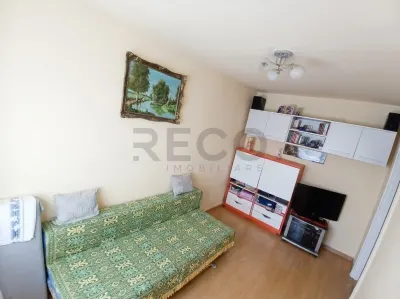 RECO Apartament cu 2 camere Nufarul - foto 3