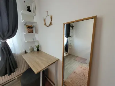 Apartament 1 camera , zona centrala , renovat , Targu Mures - foto 5