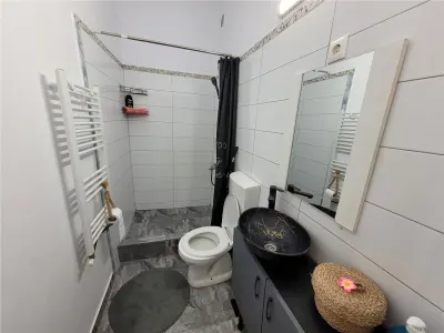 Apartament 1 camera , zona centrala , renovat , Targu Mures - foto 8