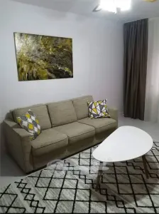 Apartament 2 Camere Nicolina - 420 euro - foto 4