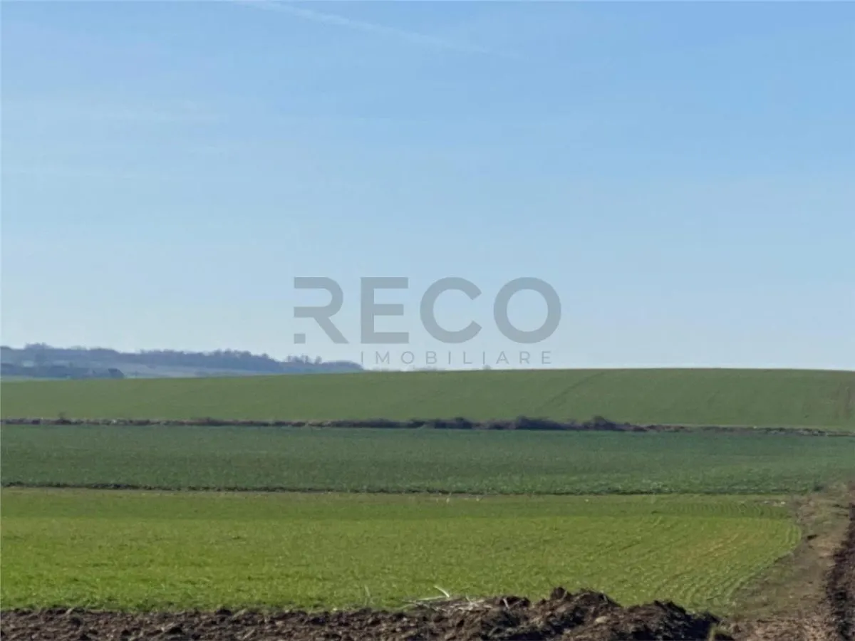 RECO Teren  pentru investitie  4ha Tauteu-Zona Autostrazii Transilvania - foto 1