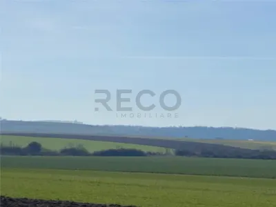 RECO Teren  pentru investitie  4ha Tauteu-Zona Autostrazii Transilvania - foto 2