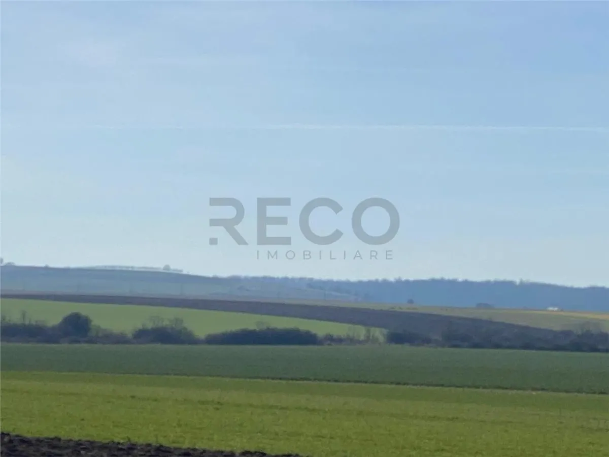 RECO Teren  pentru investitie  4ha Tauteu-Zona Autostrazii Transilvania - foto 2