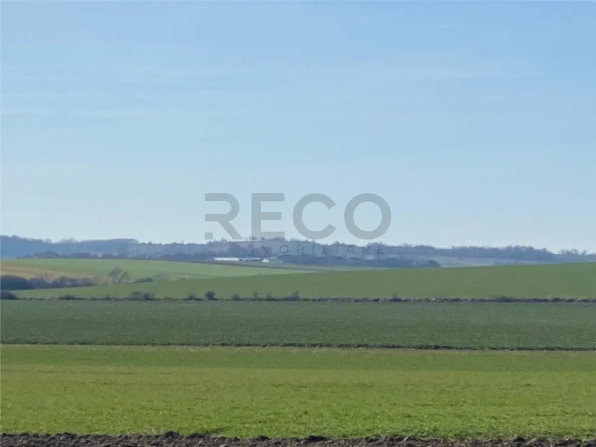 RECO Teren  pentru investitie  4ha Tauteu-Zona Autostrazii Transilvania - foto 3