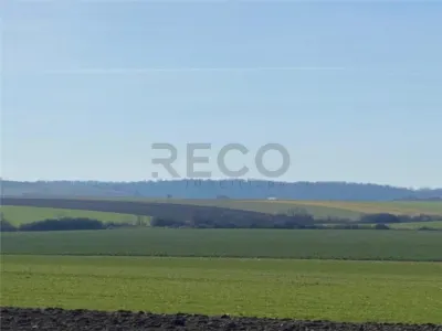 RECO Teren  pentru investitie  4ha Tauteu-Zona Autostrazii Transilvania - foto 4
