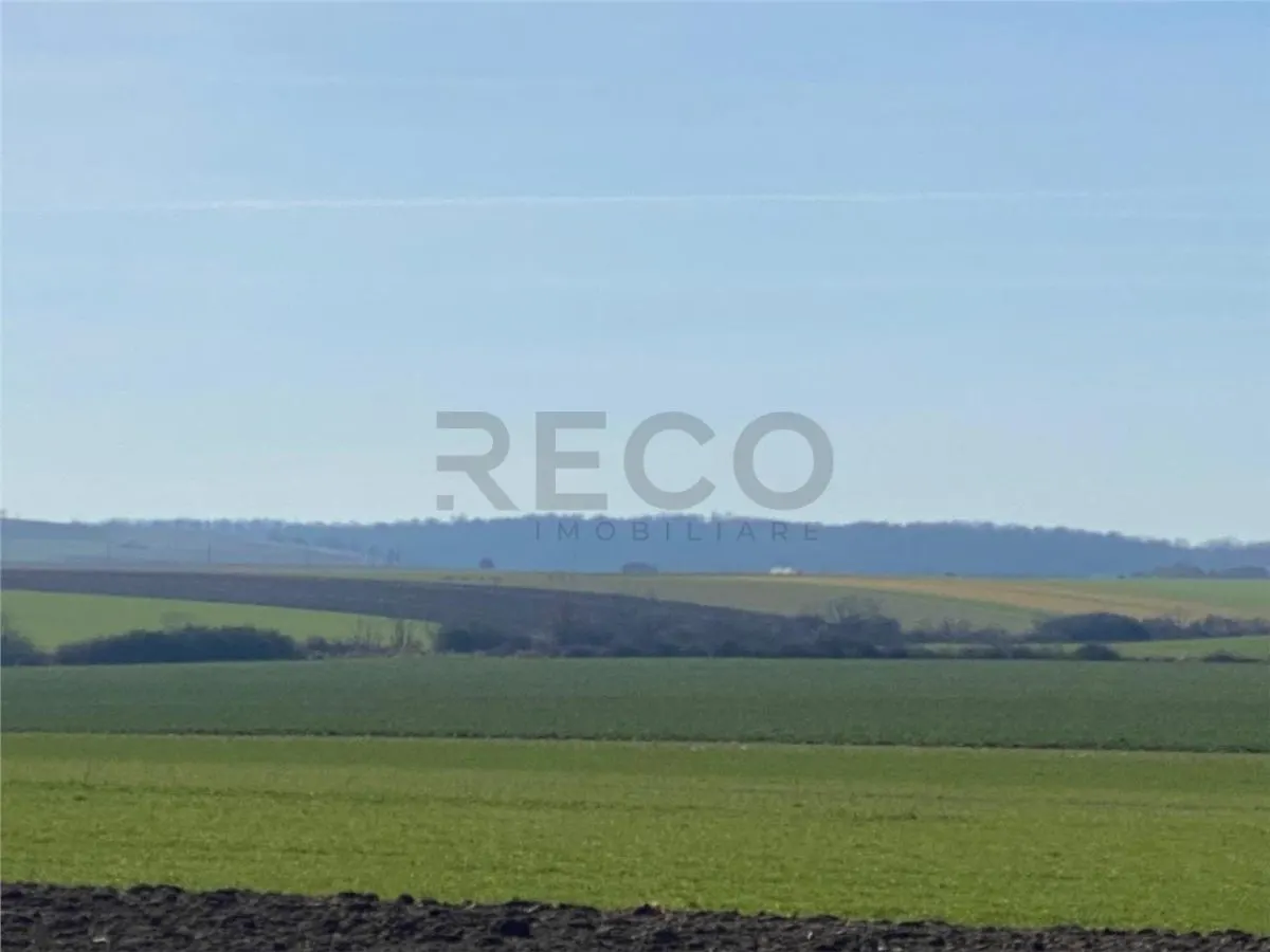 RECO Teren  pentru investitie  4ha Tauteu-Zona Autostrazii Transilvania - foto 4
