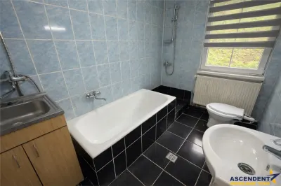 Casa cu 650 mp teren,zona linistita,curte verde,potential extindere,Gheorghe Doja, Targu Mures - foto 9