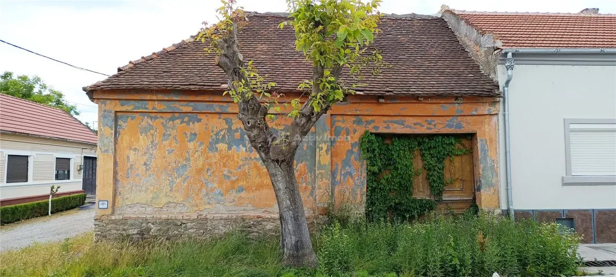 Casa in Moldova Veche - foto 3