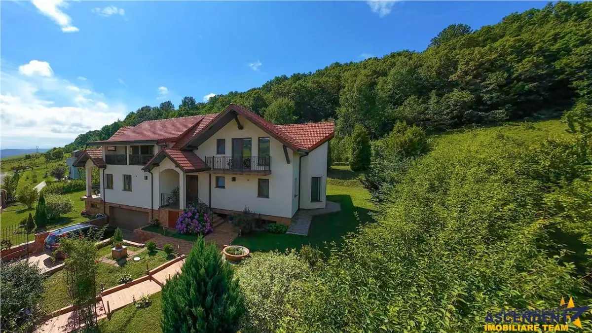 FILM! Vila rafinata, intr- un mediu natural de elita, Pestisu Mic, Valea Nandrului - foto 12