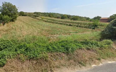 Teren Intravilan langa Dunare!  Disponibil la 15 Euro/mp - foto 4