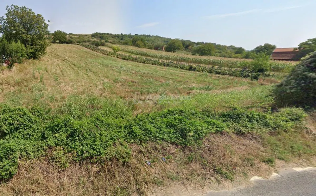 Teren Intravilan langa Dunare!  Disponibil la 15 Euro/mp - foto 4