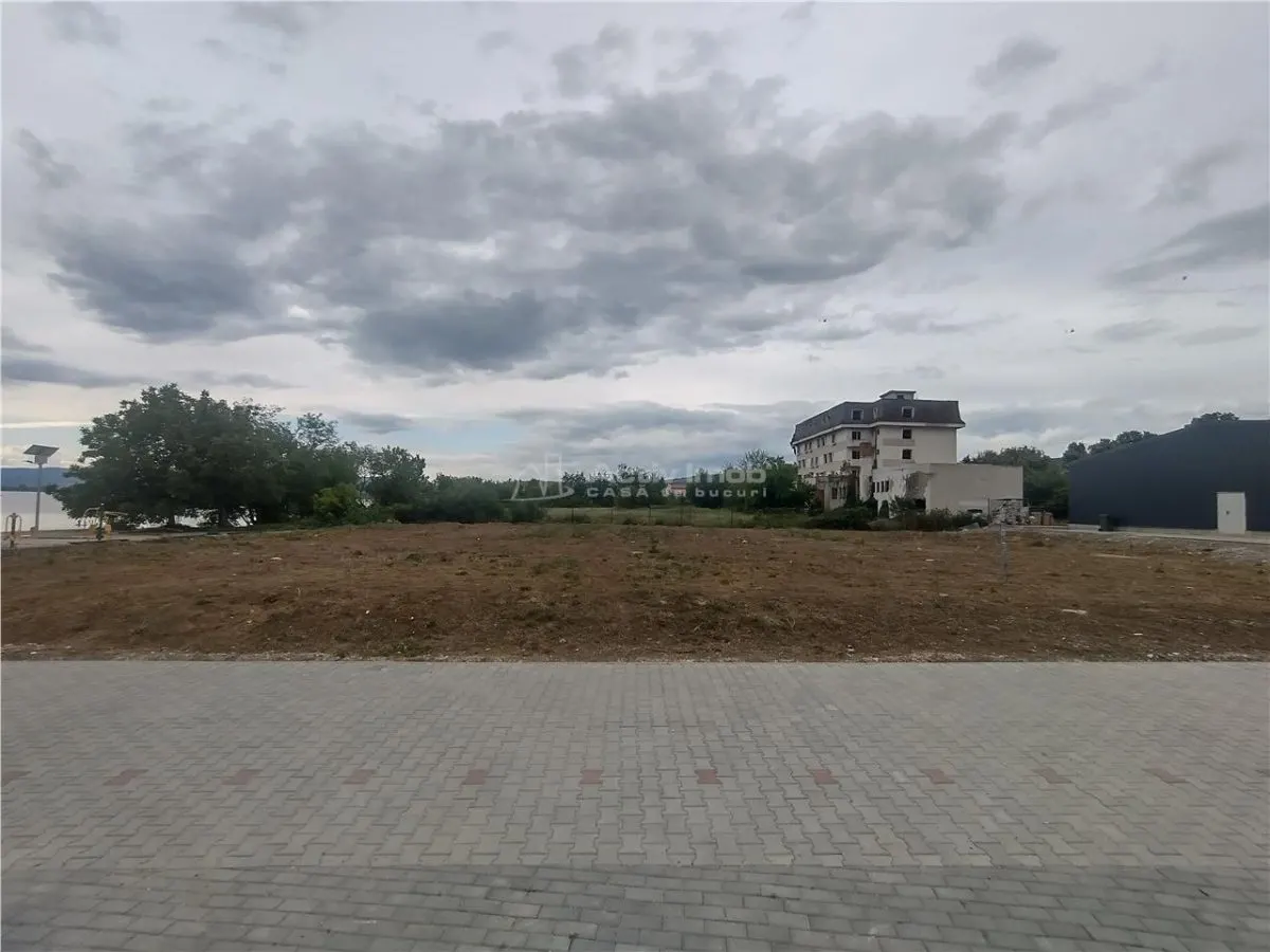 Moldova Noua, Teren Drept Intravilan 1628 Mp., pe malul Dunarii, Vanzare sau Inchiriere - foto 5
