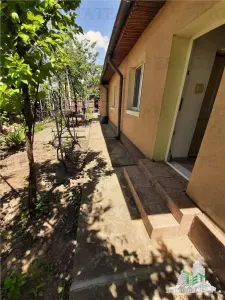 In exclusivitate Piata Veteranilor casa individuala  7 min de metrou - foto 3