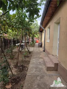 In exclusivitate Piata Veteranilor casa individuala  7 min de metrou - foto 7