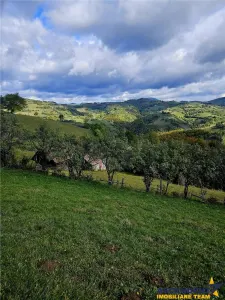 FILM! Cu view panoramic la 360 grade, teren 10.335 mp, Poiana Marului - foto 2