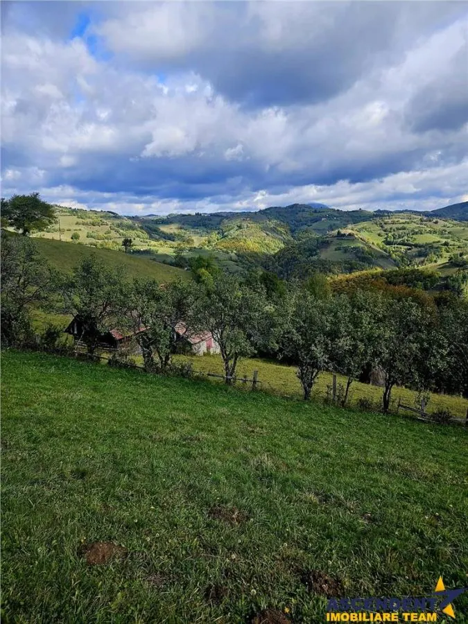 FILM! Cu view panoramic la 360 grade, teren 10.335 mp, Poiana Marului - foto 2
