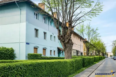 Imobil cu gradina verde, in ariere placuta, facilitati, Tractorul, Brasov - foto 7