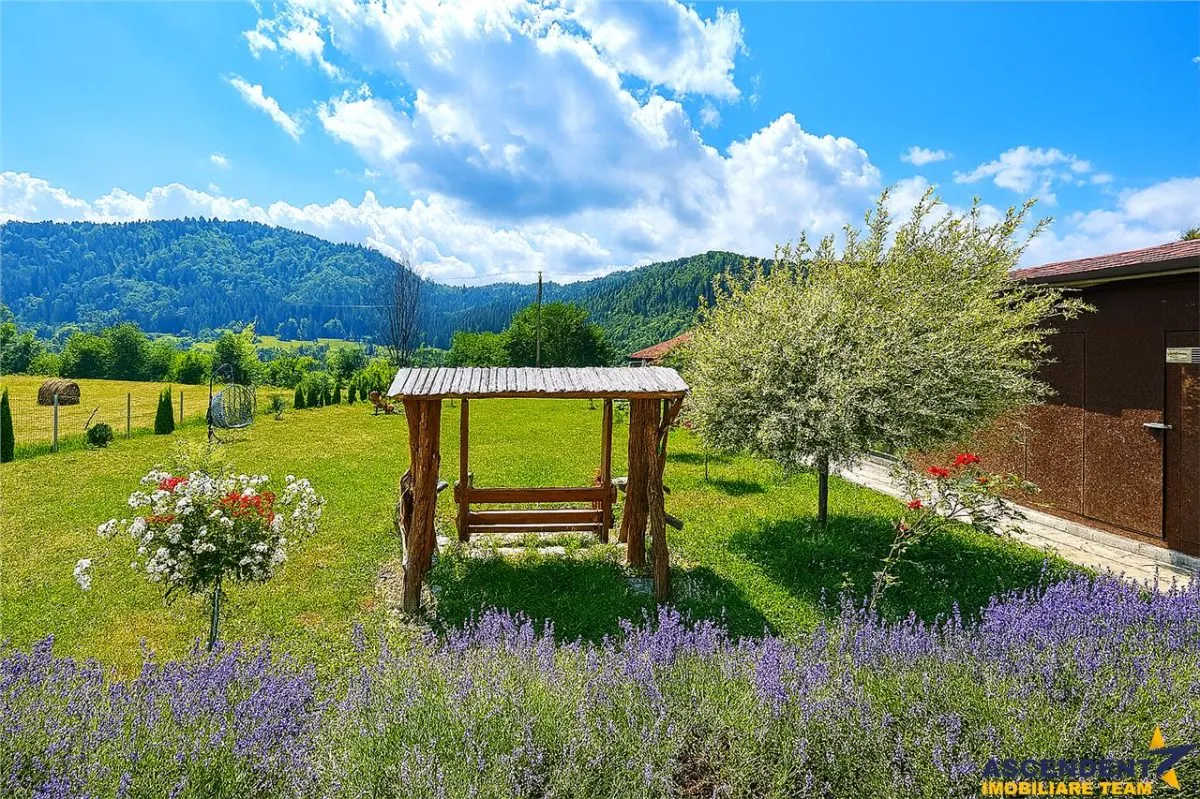 Refugiu pretios:jacuzzi, lemn masiv,2.000 mp teren,4 dormitoare, cuptor, investitie turistica - foto 3