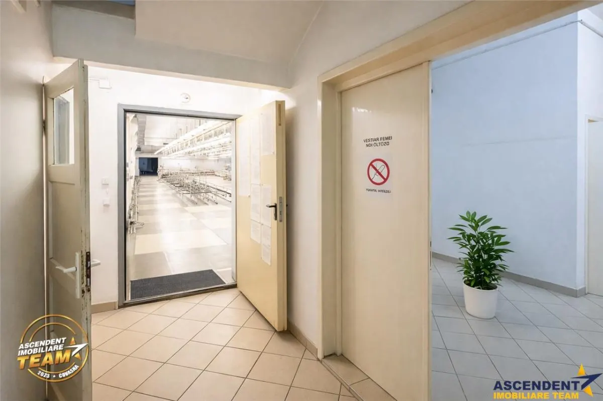 Apreciabil ansamblu:industrial+productie+ birouri+6.322mp teren,Bretcu,Covasna - foto 21