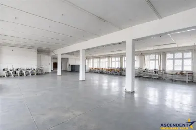 Apreciabil ansamblu:industrial+productie+ birouri+6.322mp teren,Bretcu,Covasna - foto 9