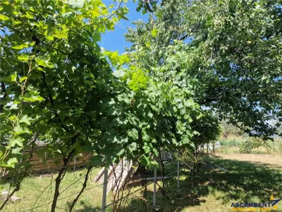 Casa traditionala, cu 2.000mp teren roditor, Izvoarele, Prahova - foto 11
