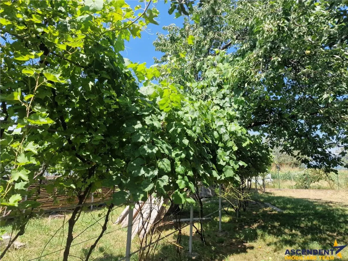 Casa traditionala, cu 2.000mp teren roditor, Izvoarele, Prahova - foto 11