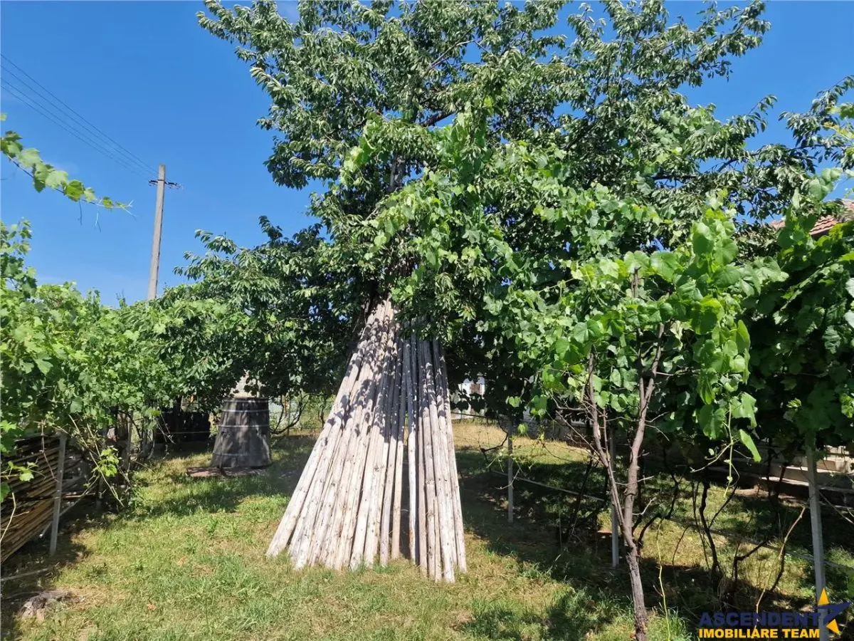 Casa traditionala, cu 2.000mp teren roditor, Izvoarele, Prahova - foto 13