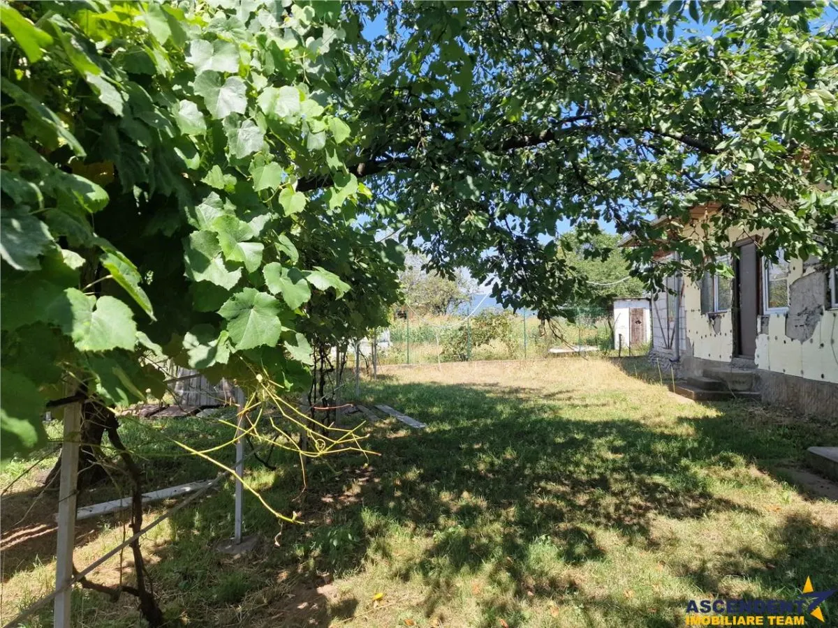 Casa traditionala, cu 2.000mp teren roditor, Izvoarele, Prahova - foto 9