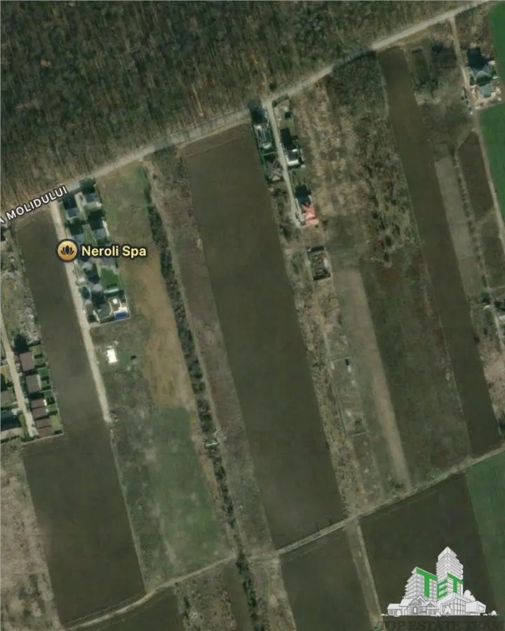 Teren de vanzare langa padure| Tamasi, Corbeanca | 1170mp - foto 1