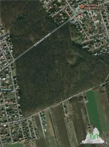 Teren de vanzare langa padure| Tamasi, Corbeanca | 1170mp - foto 2