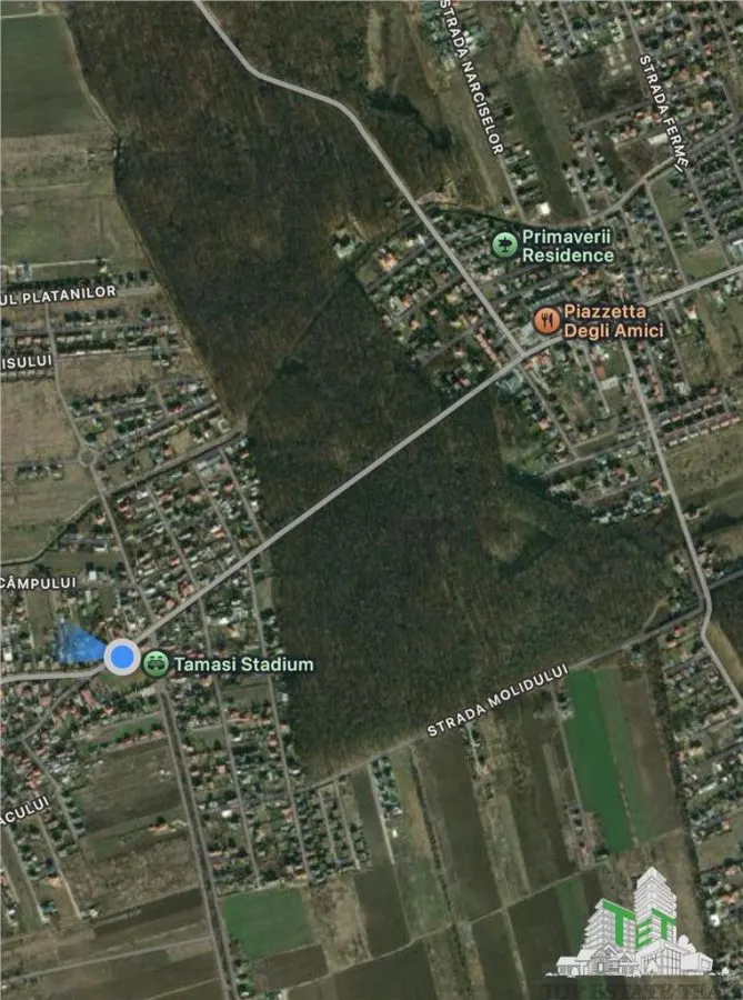 Teren de vanzare langa padure| Tamasi, Corbeanca | 1170mp - foto 3
