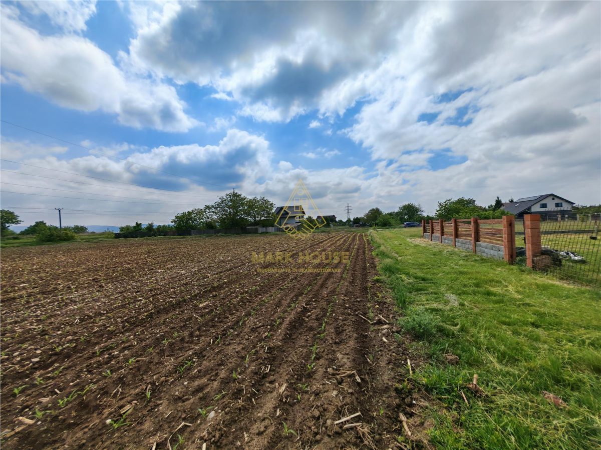 Teren intravilan 1800 mp, de vanzare, Serbanesti - foto 8