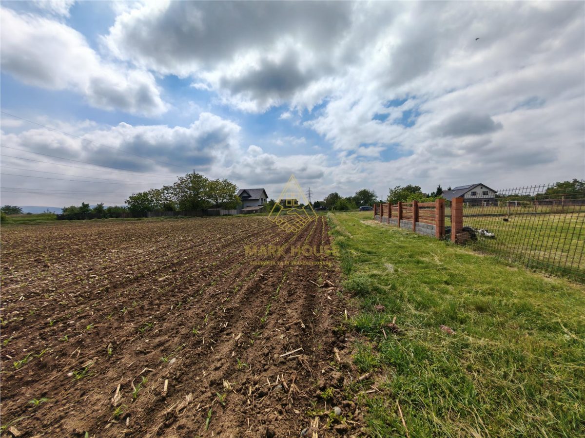 Teren intravilan 1800 mp, de vanzare, Serbanesti - foto 10