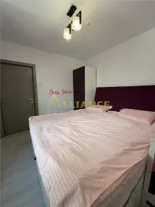 Apartament 2 camere decomandat  - Sector 3, Muresana, mobilat si utilat - foto 10