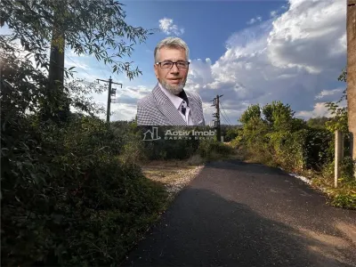 Bocsa Teren 9400 Mp Intravilan - foto 1