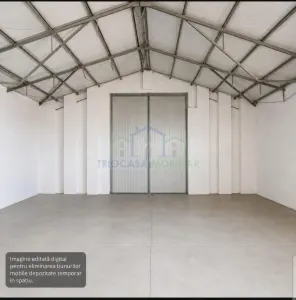 Spatiu industrial - doua hale in suprafata de 357  mp respectiv 475 mp si 5423 mp teren intravilan in Isalnita - foto 4