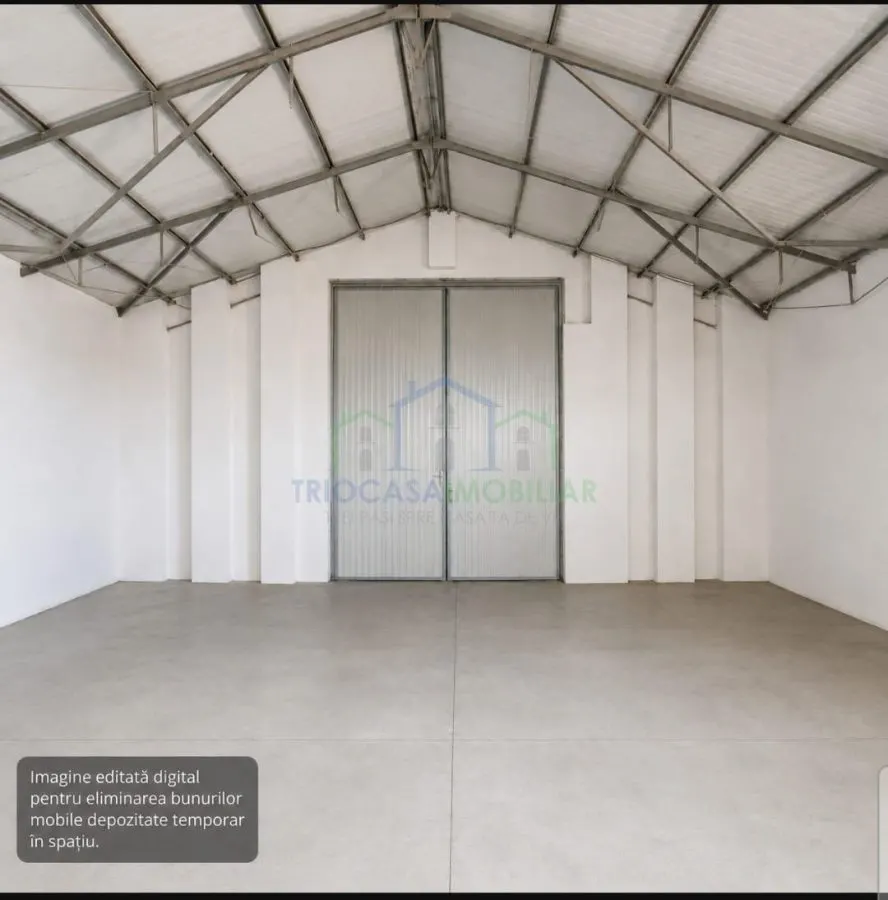 Spatiu industrial - doua hale in suprafata de 357  mp respectiv 475 mp si 5423 mp teren intravilan in Isalnita - foto 4