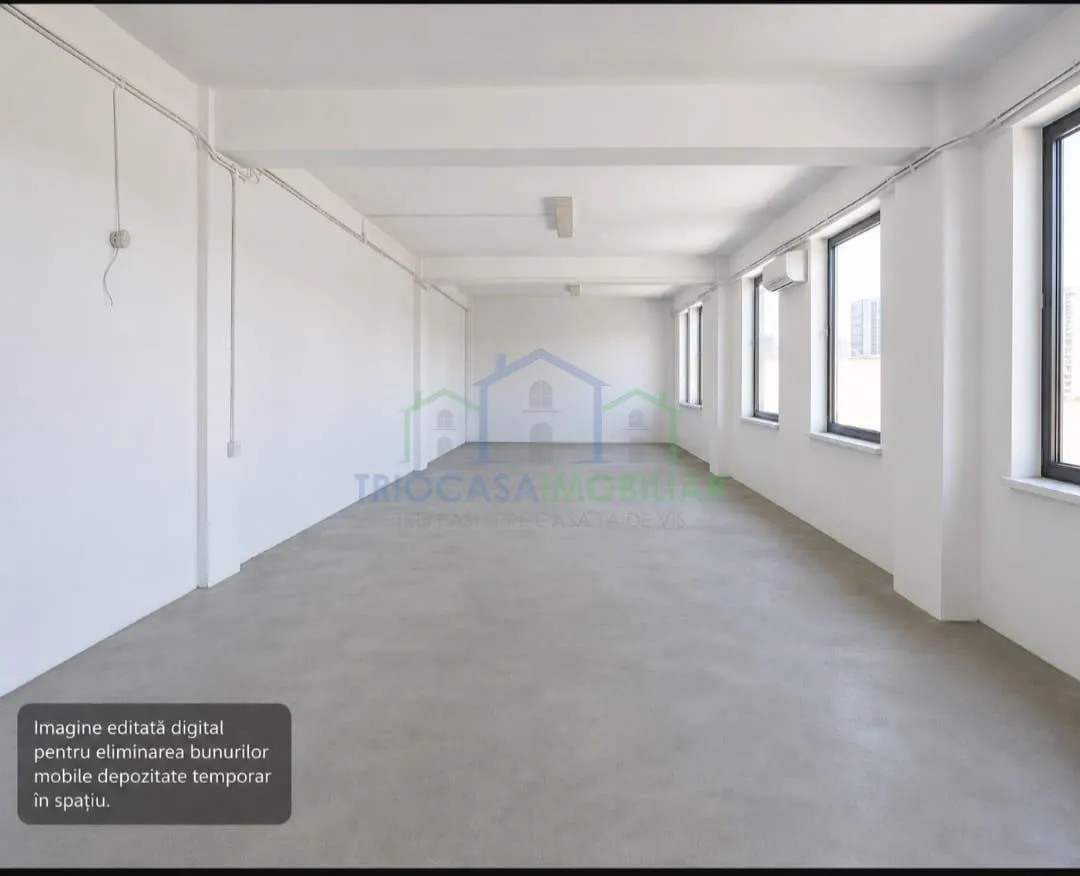 Spatiu industrial - doua hale in suprafata de 357  mp respectiv 475 mp si 5423 mp teren intravilan in Isalnita - foto 9