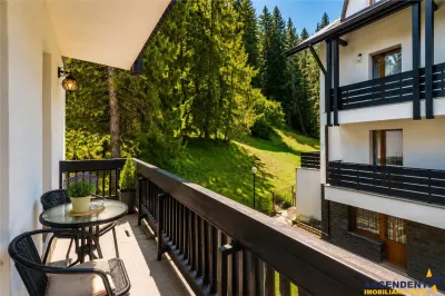 Colt de rai in Poiana Brasov: Rezidential/ Pensiune amenajata, gata de preluare - foto 15