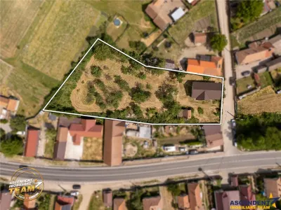 FILM! Casa personalizabila +2.700mp teren,pomi fructiferi,langa Sfantu Gheorghe: Santionlunca - foto 11