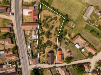 FILM! Casa personalizabila +2.700mp teren,pomi fructiferi,langa Sfantu Gheorghe: Santionlunca - foto 9