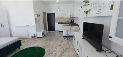Garsoniera moderna si apatioasa - foto 4