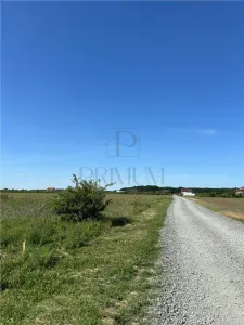 Doua Terenuri, Mosnita Veche, 799/ 712 mp - foto 3