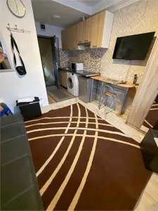 BUZIASULUI - APARTAMENT 1 CAMERA - mobilat, utlilat, decomandat - Timisoara