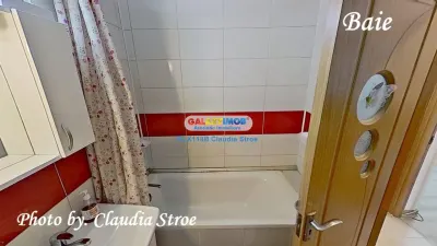 INCHIRIERE APARTAMENT 3 CAMERE NITU VASILE - foto 21
